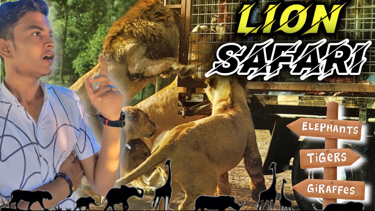 Lion 🦁 Attack Ho gaya || Lion safari ke andar chale Gaye 🔥|| Lahore Safari Zoo 🦌