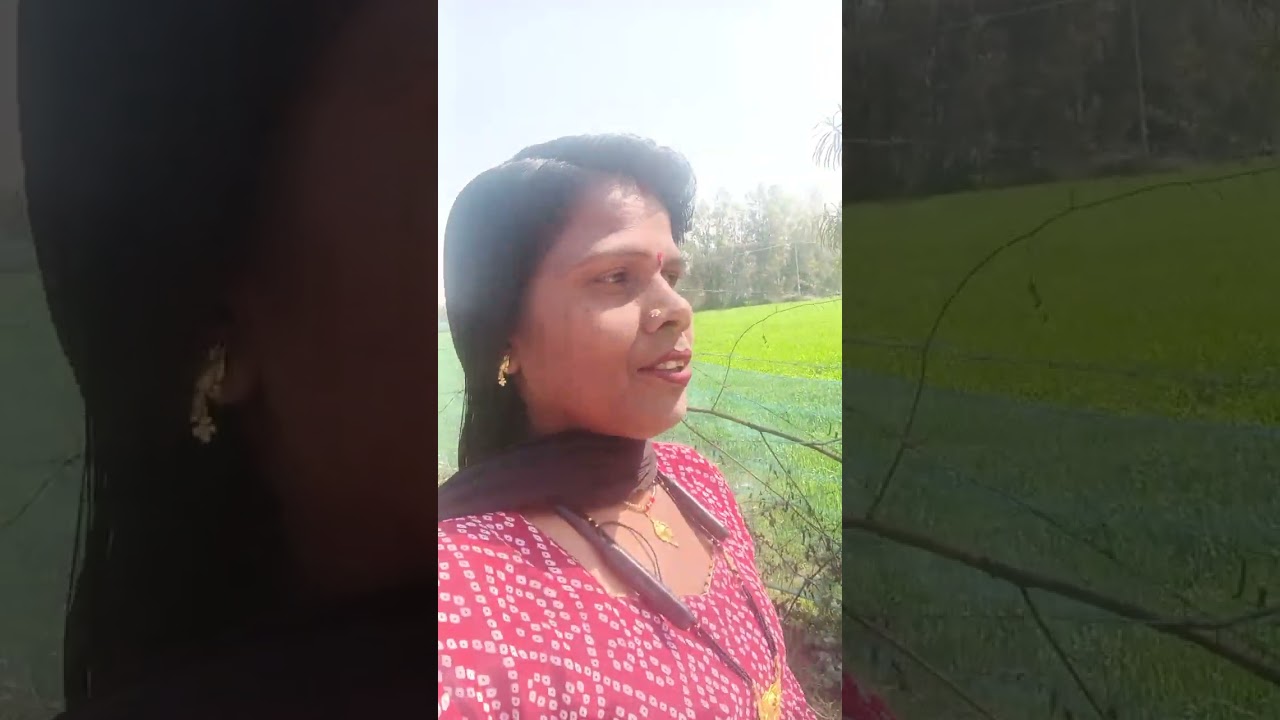महाशिवरात्रि की हार्दिक शुभकामनाएं सभी को मेरे लॉन्ग वीडियो में आप सभी कास्वागत है 🌺🙏🌹🌺🙏🌹