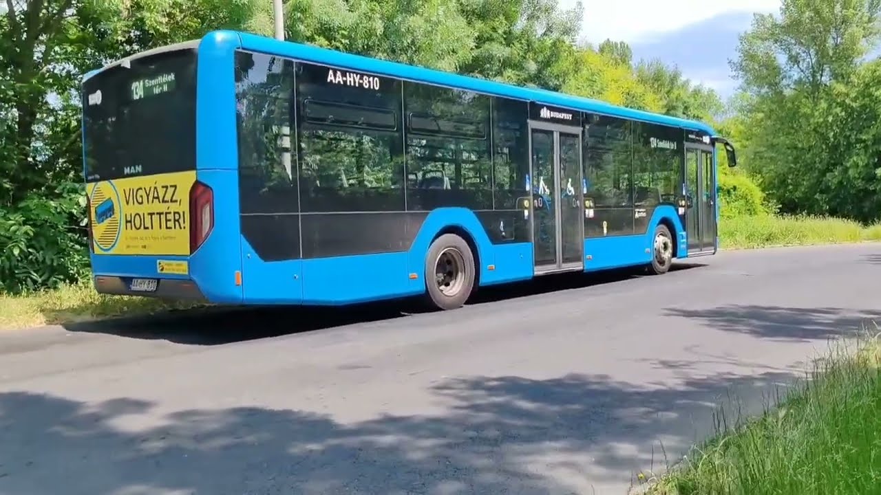 Békásmegyer Új Megyeri tér Busz végállomás. (296,134, 34, 204. Busz.)