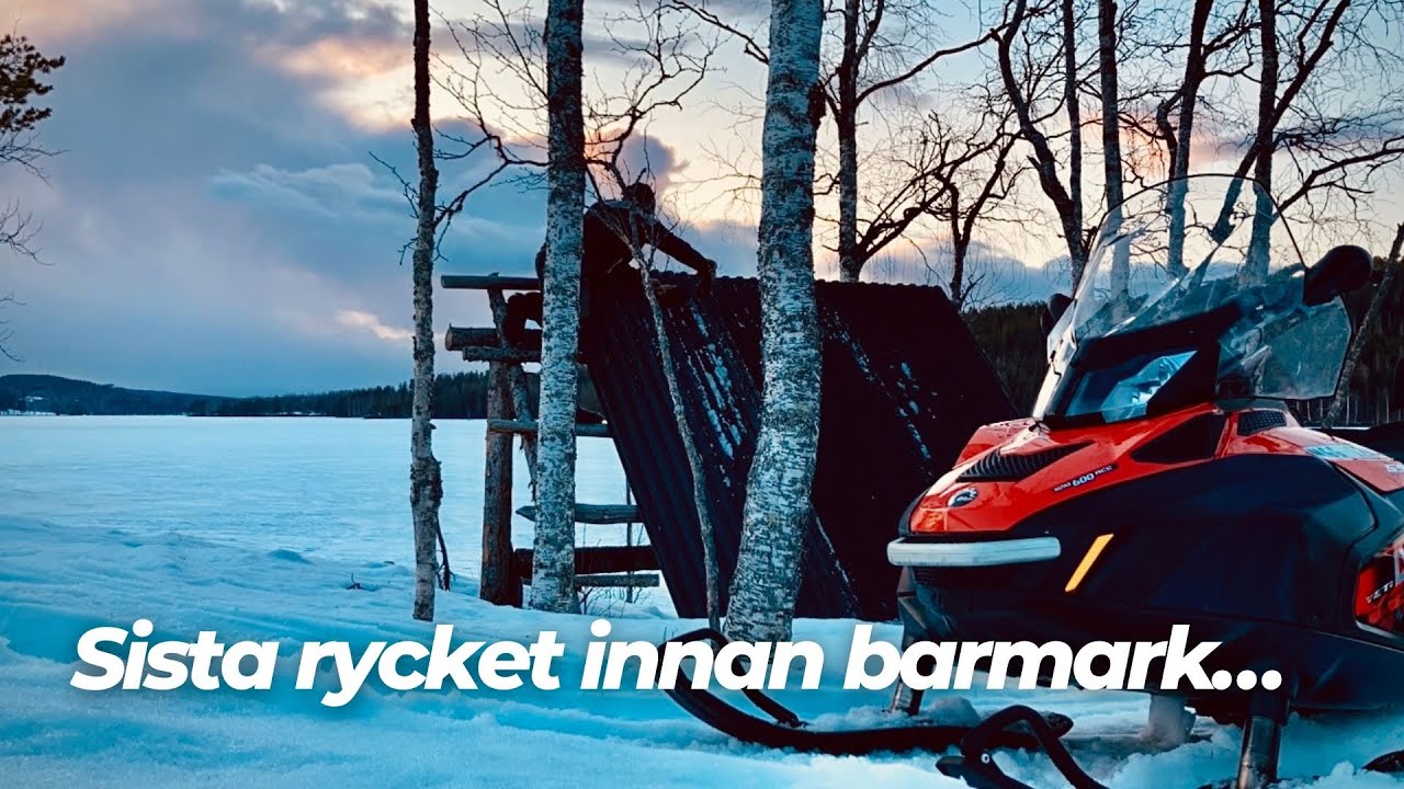 Rustar upp vindskyddet, säsongens sista skotertur. Vår på torpet!