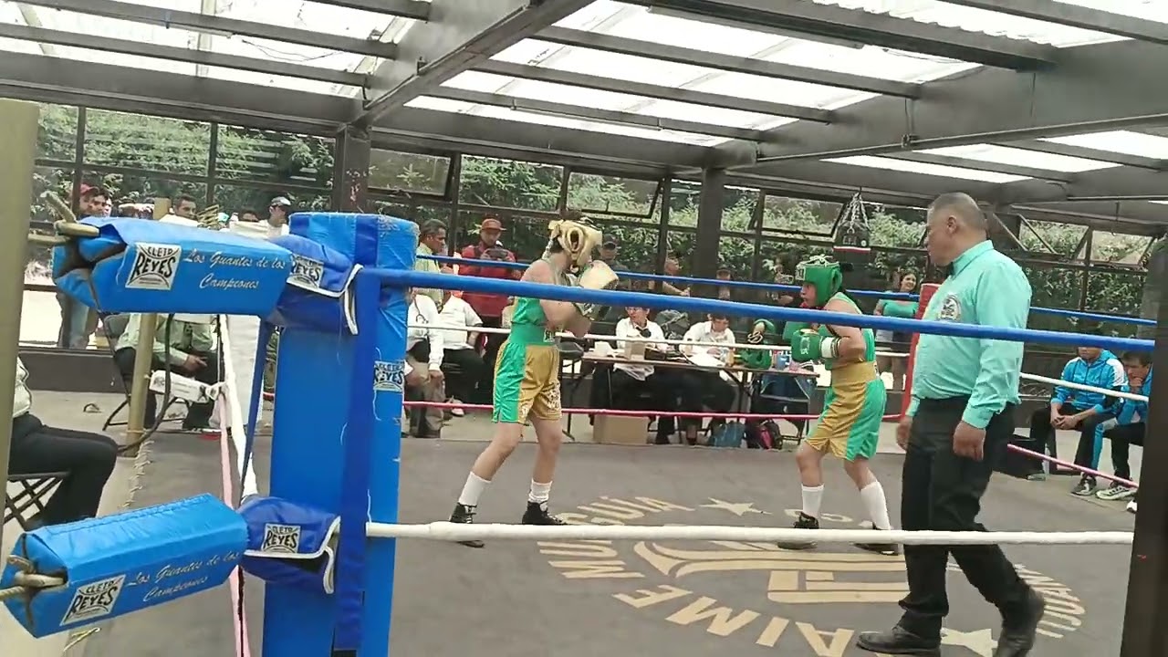 Japonesita jr 2 semifinal nacional verde y oro 2024 c.otomi CDMX vs Veracruz #44