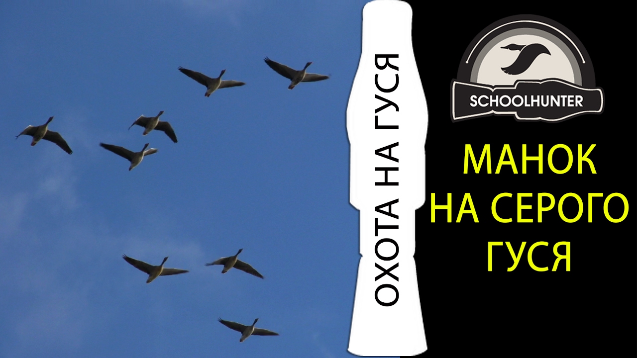 Манок на серого гуся