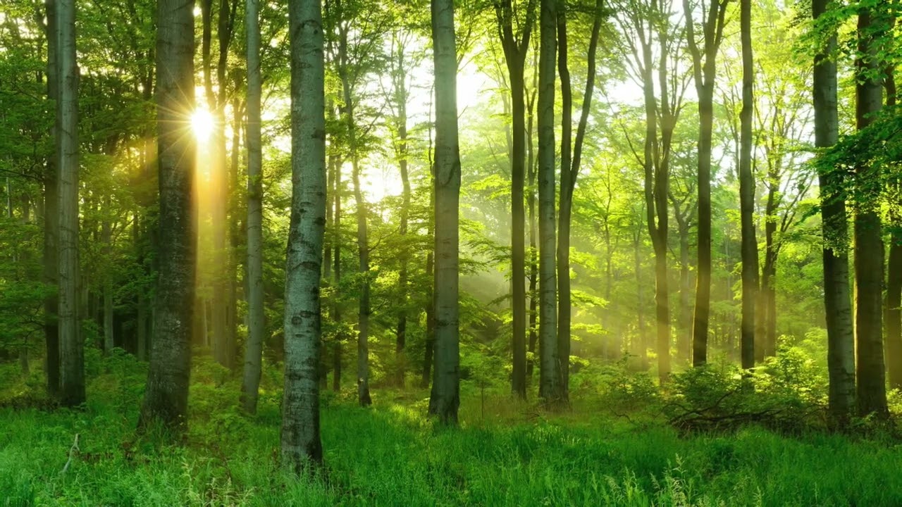 Matinal para Colportores, 27 de enero