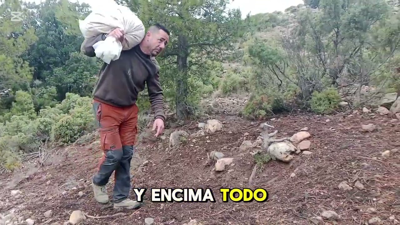 CORTIJER@S, mirar lo que tengo que hacer para llegar con la comida 🥵, pero que todo sea por ellos 💪💚