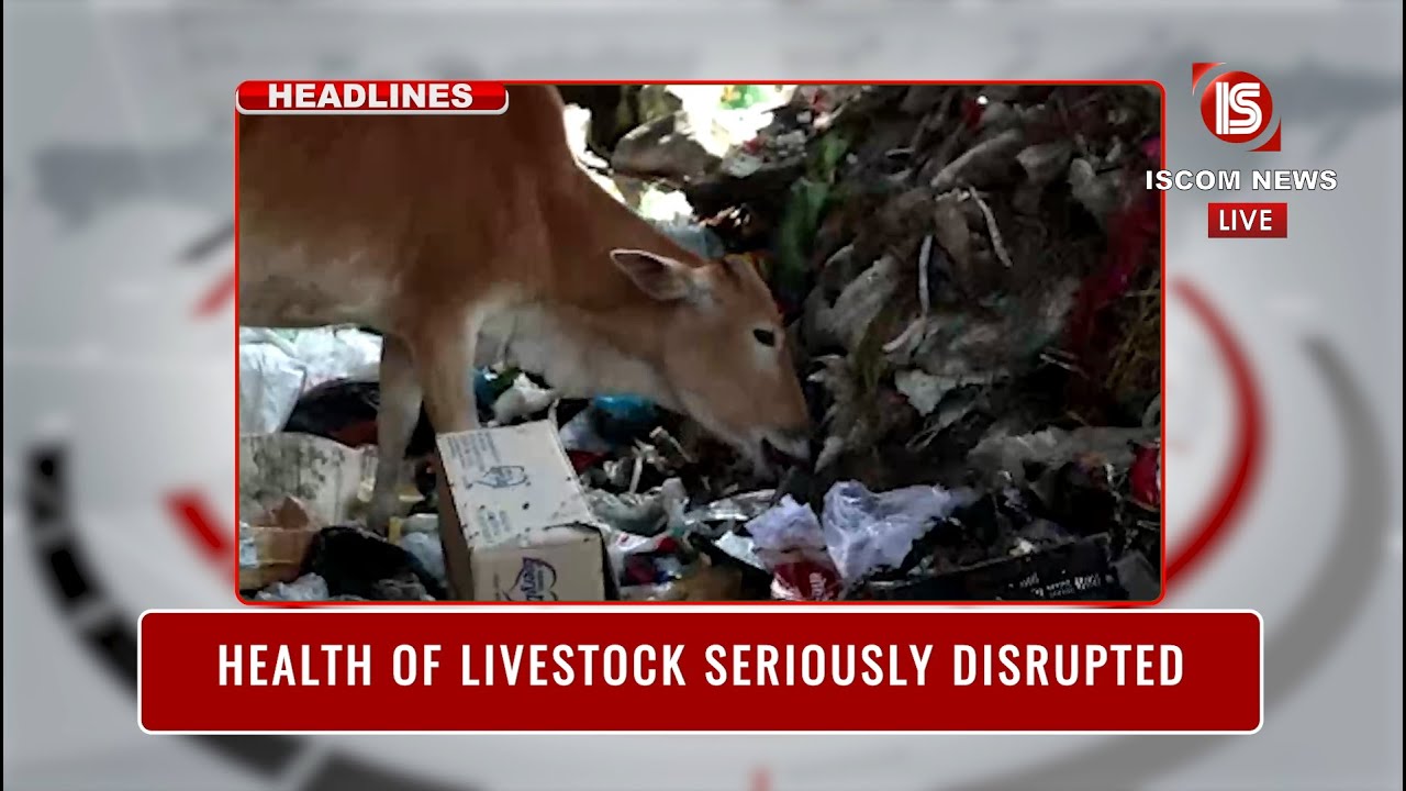 LIVE - ISCOM NEWS 08:00 PM ENGISH 08 APRIL 2023
