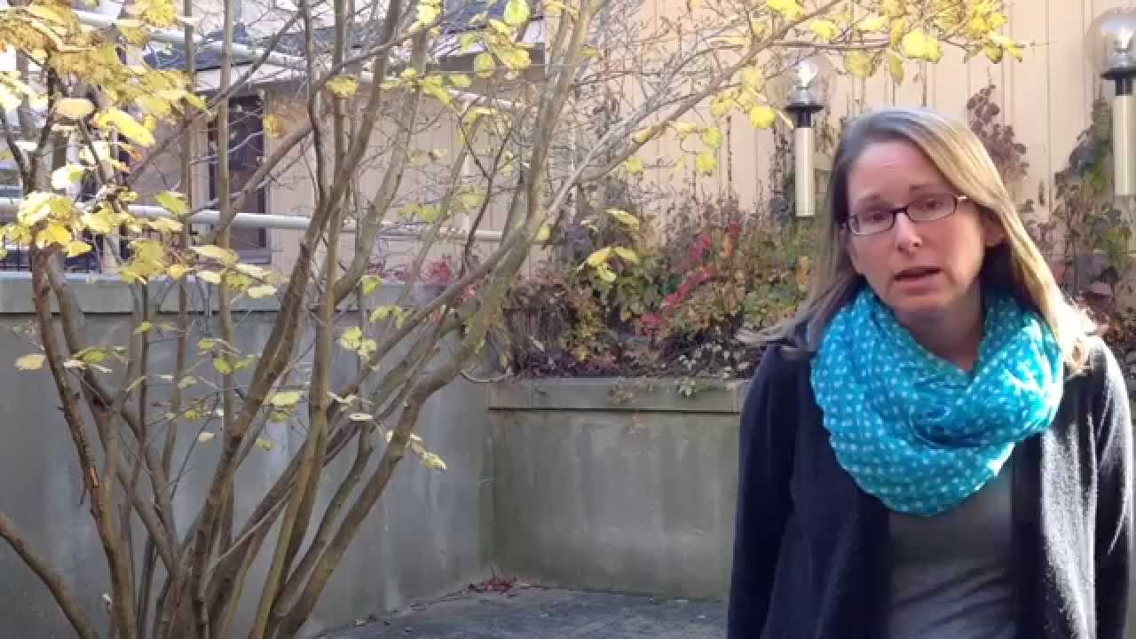 HCA Insider: Witch Hazel and Fall Colours
