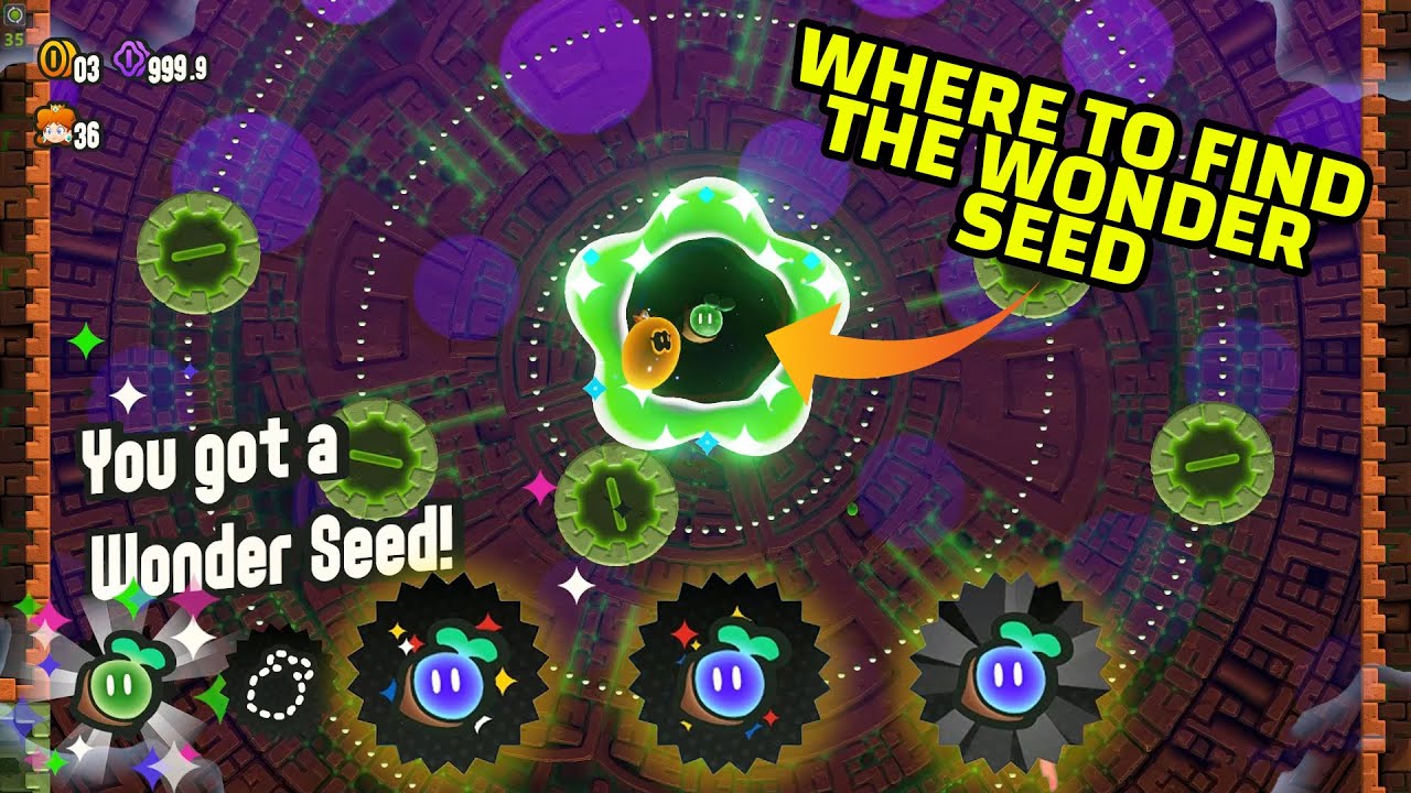 A Final Uncharted Area Poison Ruins Guide All 3 Wonder Seeds & Coins & Secret Exits Location (2023)