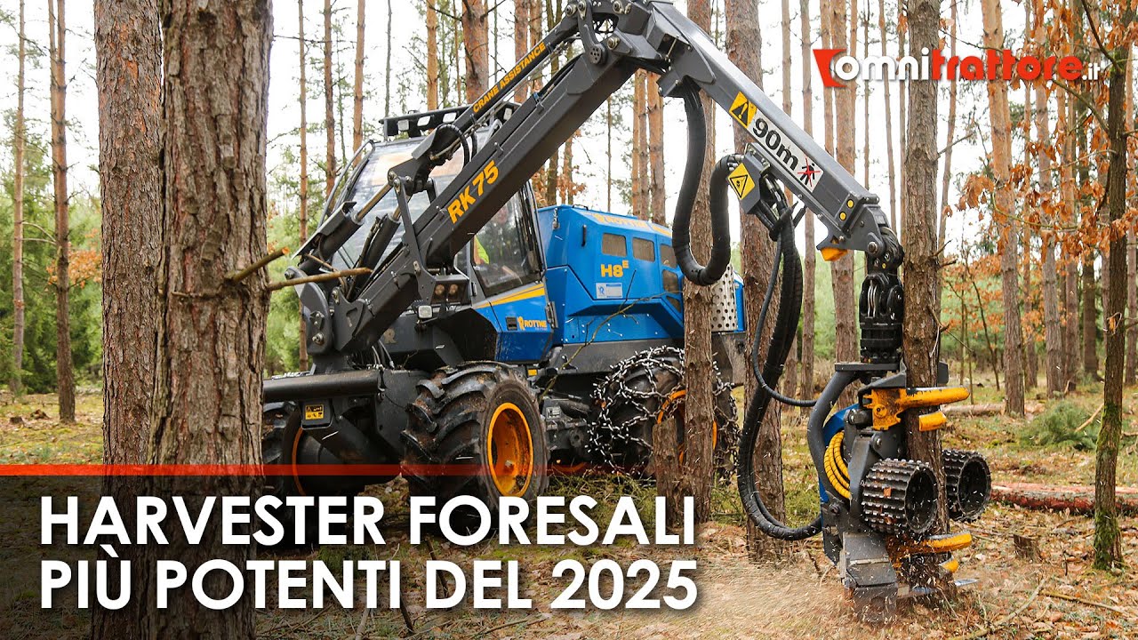 Abbattitrici Giganti: i MOSTRI della Foresta del 2025!
