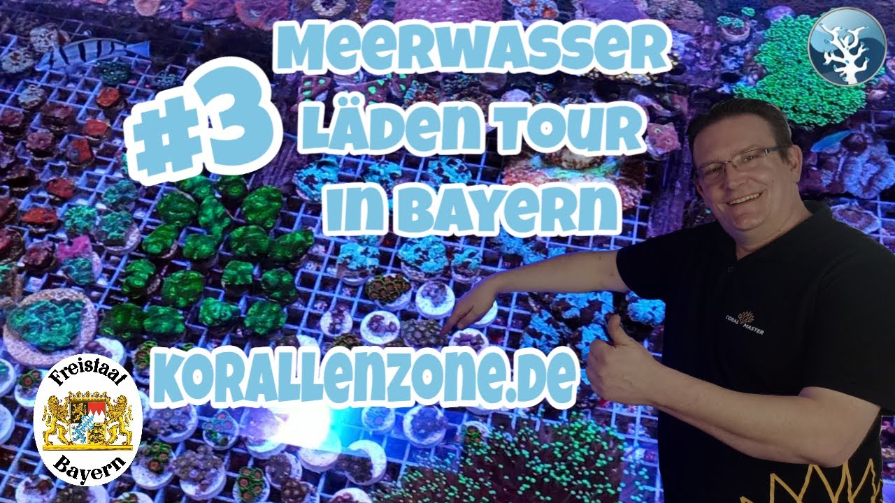 📢 Meerwasser L&auml;den in Bayern #3⭐On Tour @ KorallenZone in Karlstein⭐