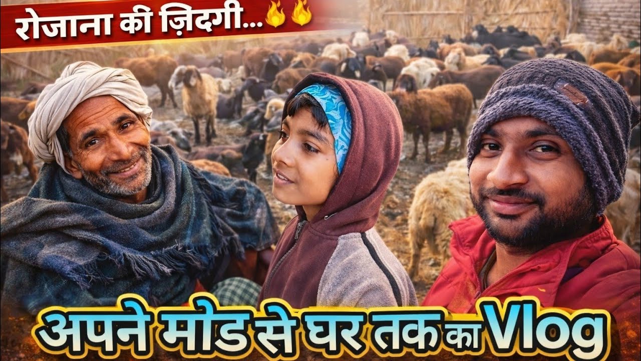 अपने मोड़ से घर तक का Vlog | गाँव की असली ज़िंदगी | Sheep Farming Life