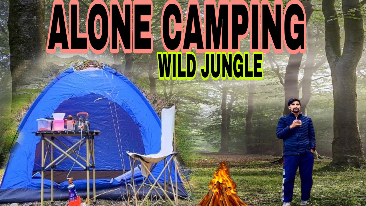 SOLO JUNGLE CAMPING ADVENTURE COOKING IN THE COLDEST WILD 🥶 | camping in india #camping 