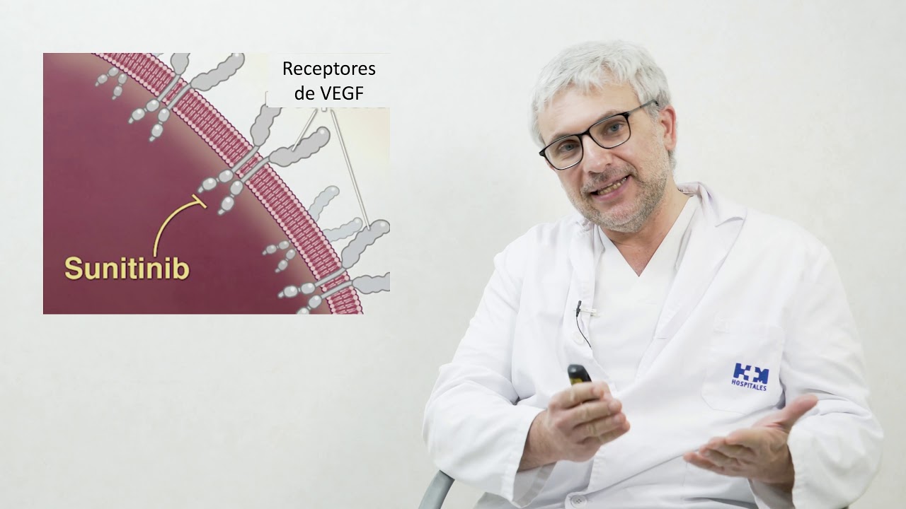 Qué es y qué no el Cáncer Renal. Información para pacientes