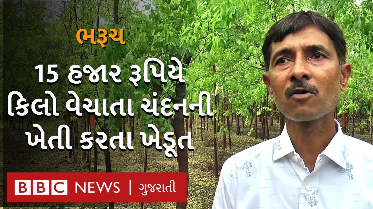 This farmer from Bharuch earns lakhs of rupees by cultivating sandalwood, Modi has honored him