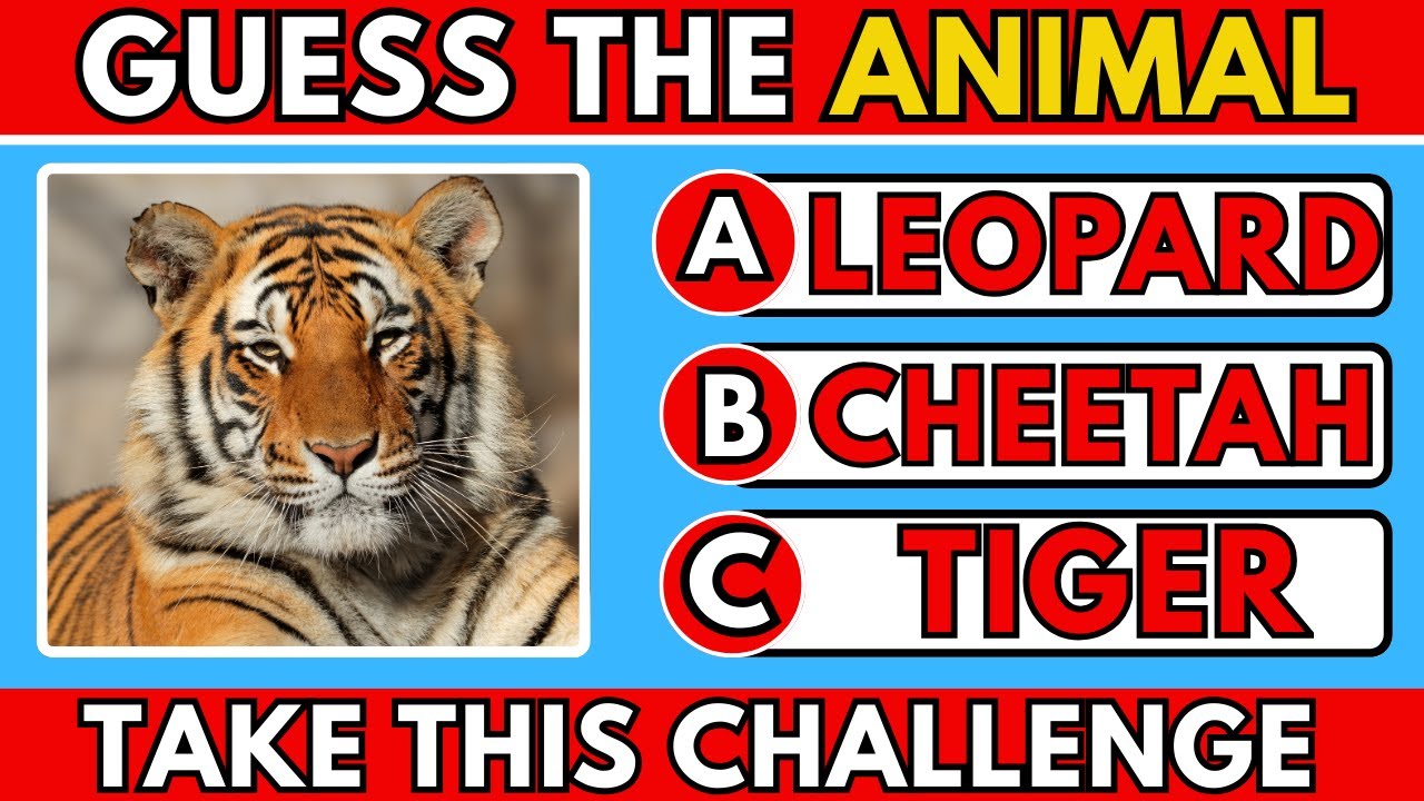 99% People Fail This Animal Image Quiz 🐾 | Can You Beat It?