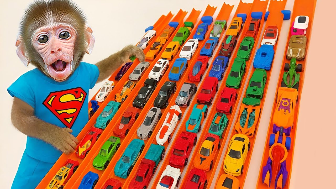 Singe Mon Mon Races  100 voitures de course colorées ! Trop excitant !