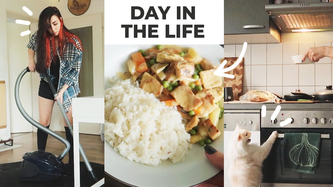 Productive day in my life | art commissions, vegetarian meal Ideas, house cleaning, naughty cat vlog