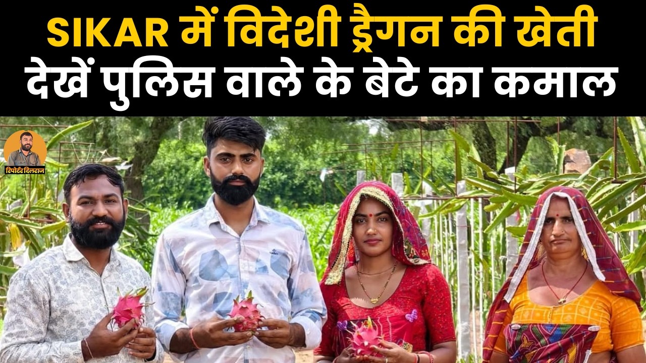 सीकर में हो रही विदेशी ड्रैगन की खेती, पुलिस वाले के बेटे ने कर दिया कमाल ~