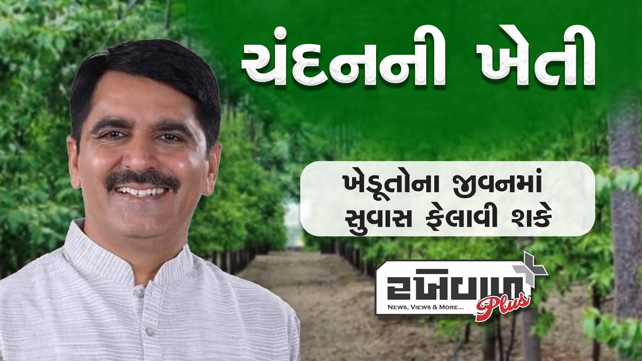 ચંદનની ખેતી / ખેડૂતોના જીવનમાં સુવાસ ફેલાવી શકે : શંકરભાઇ ચૌધરી / CHANDAN NI KHETI