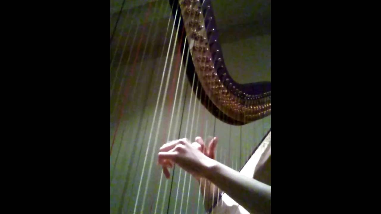 DJ Okawari - Flower Dance on harp