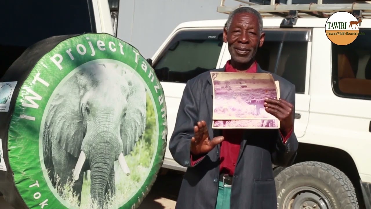 Amuokoa Tembo aliyekwama kwenye tope na kumlisha kwa mikono yake