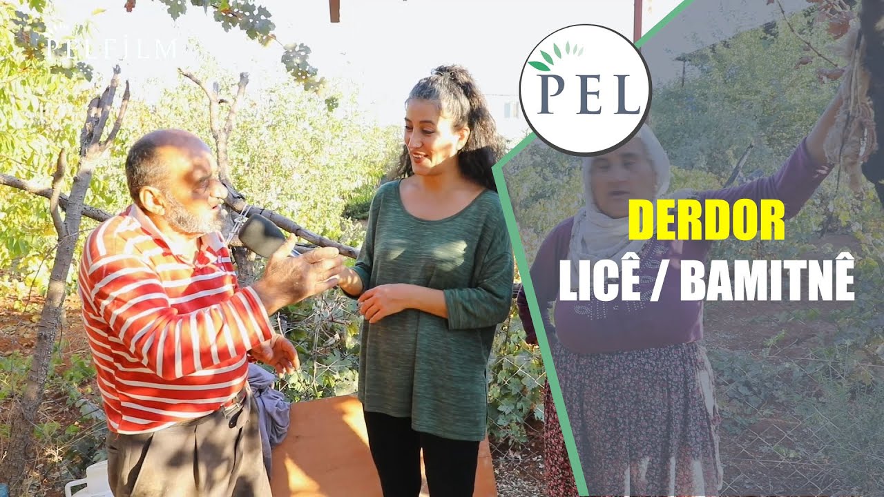 DERDOR - LICÊ / BAMITNÊ