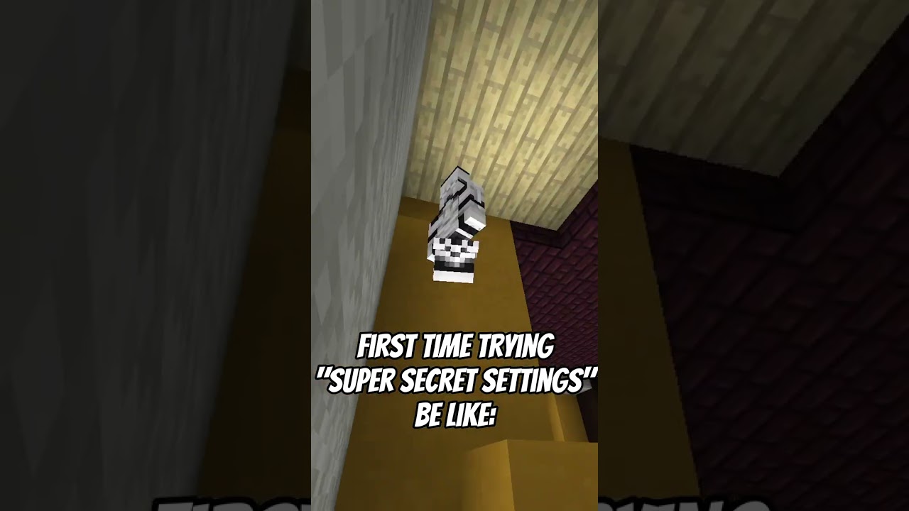 SUPER SECRET SETTINGS IN MINECRAFT