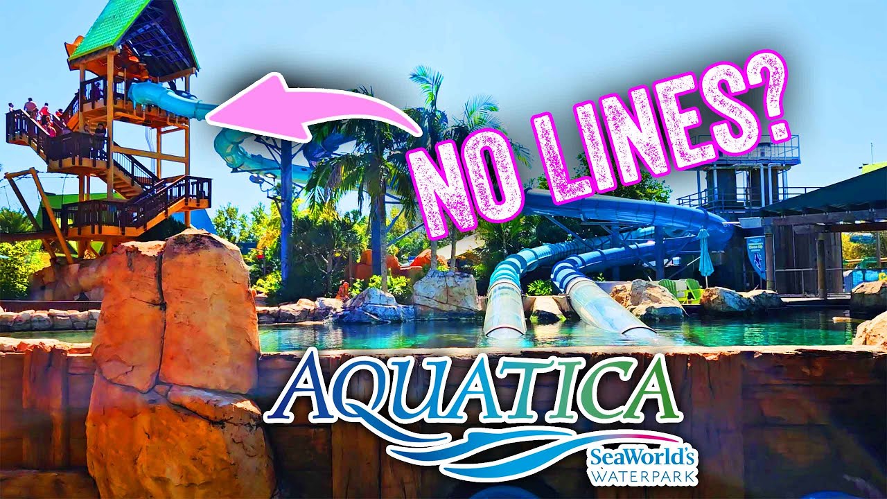 Aquatica Orlando Honest Review: Worth It in the Spring?