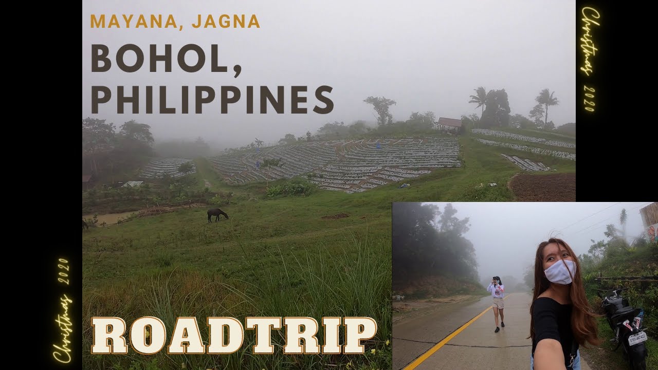 Bohol Philippines Tourist Spot | Mayana, Jagna | Little Baguio | Strawberry Farm