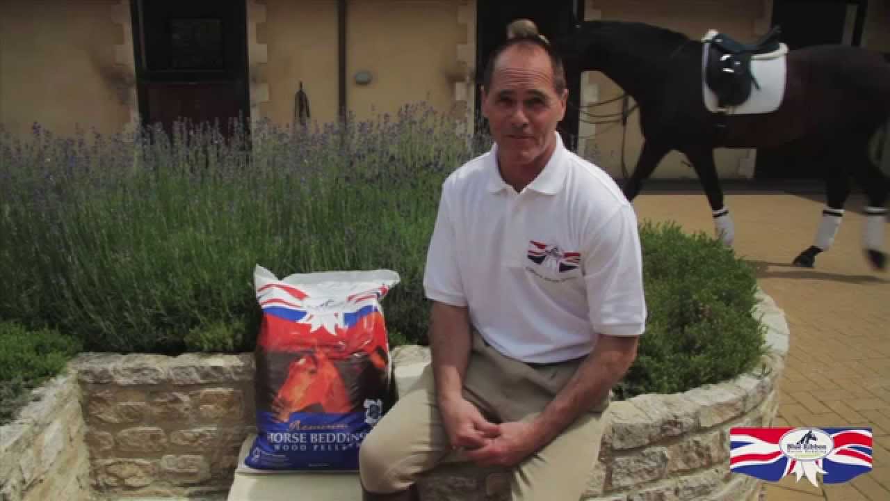 Blyth Tait Laying Blue Ribbon Horse Bedding