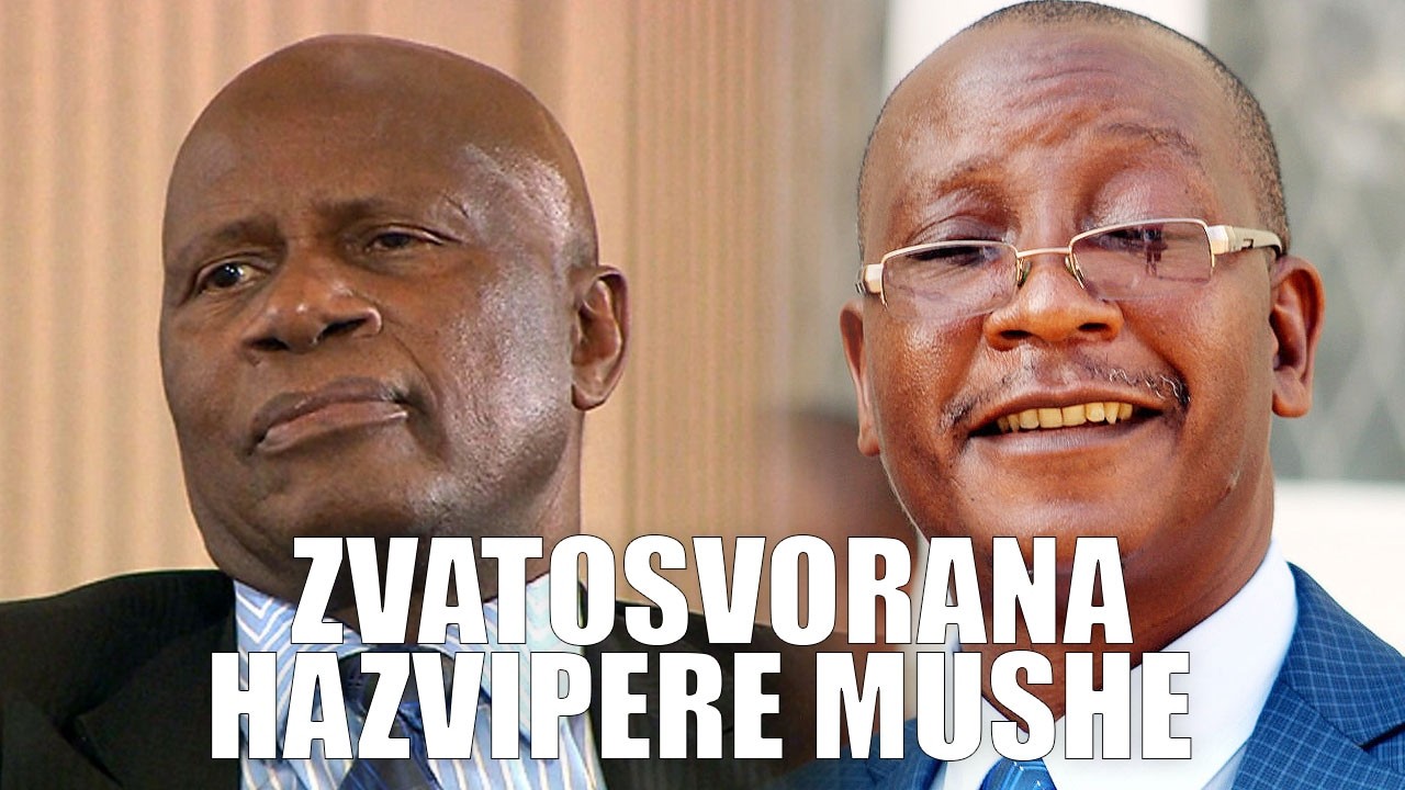 Chinamasa In Trouble After Opposing Ziyambi’s 2030 Amendment Bill