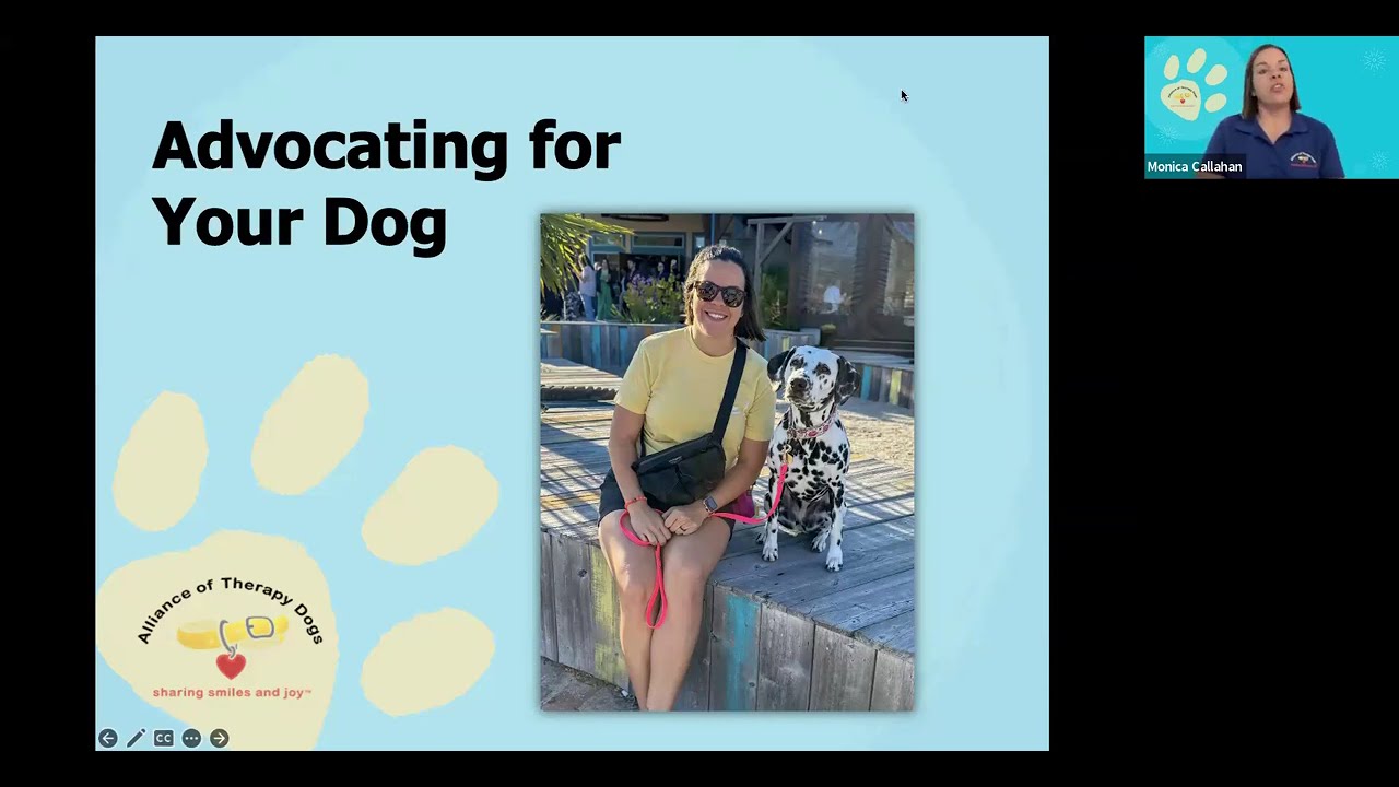 Advocating for your Therapy Dog