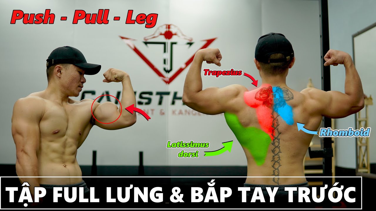 [RẤT CHI TIẾT] Cách Tập CƠ LƯNG TO DÀY TOÀN DIỆN & BẮP TAY TRƯỚC TO TRÒN || Push- Pull- Leg #BUỔI 1