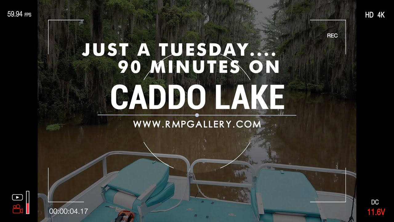 Just a Tuesday Morning on Caddo Lake