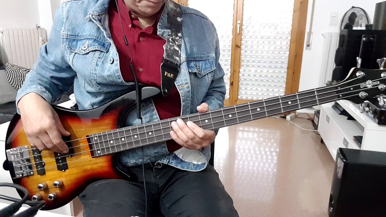 Pet Shop Boys - What Have I Done To Deserve This - Ariel Diaz Cover Bass