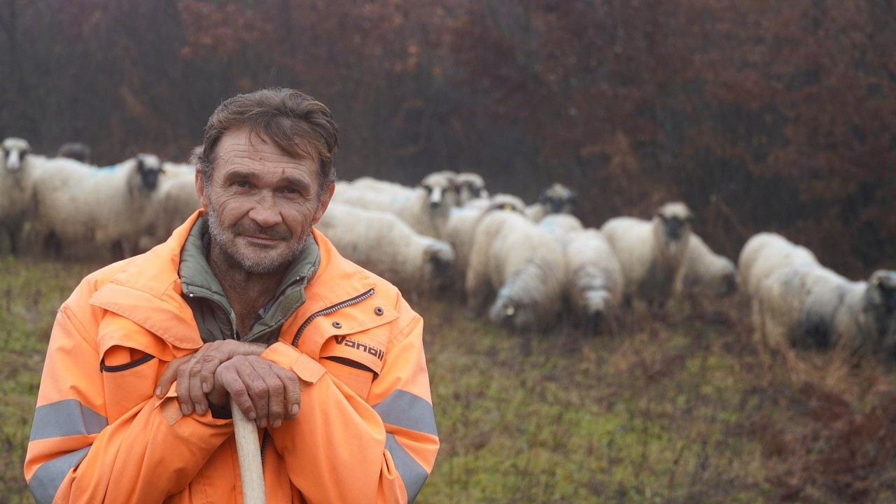 OD OVACA  SAM  DOKTORA  IŠKOLOVAO
