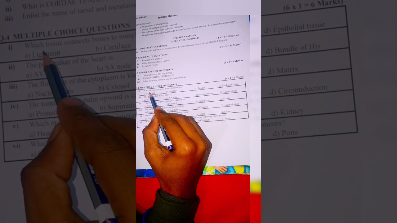 BSC Nursing 1st semester 2026