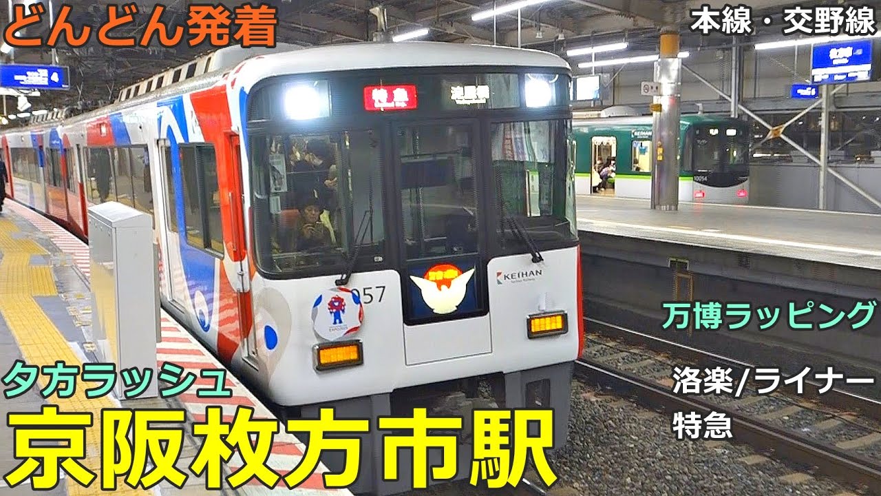 京阪枚方市駅 4🚃どんどん電車が発着・通過！●万博ラッピング列車／快速特急・洛楽、ライナー、特急、急行 等（夕方ラッシュ 京阪本線、交野線）
