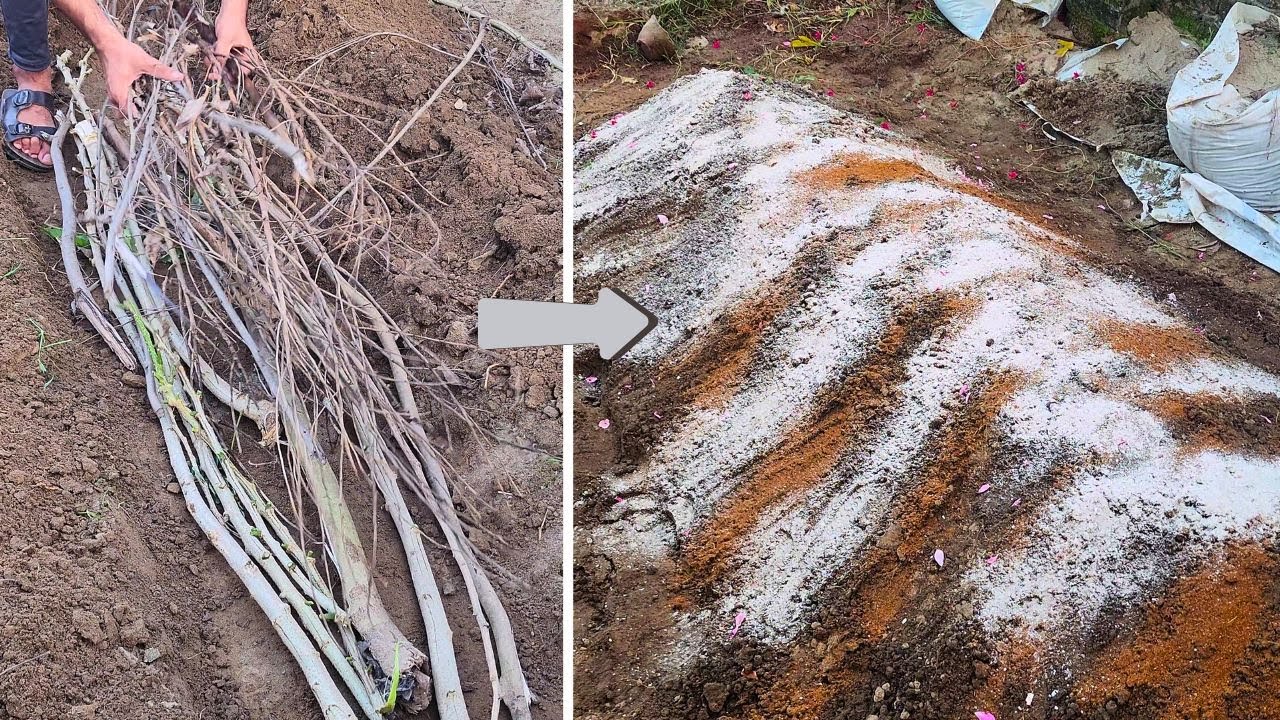 The Easiest Method to Create a Hugelkultur Bed – Step-by-Step!