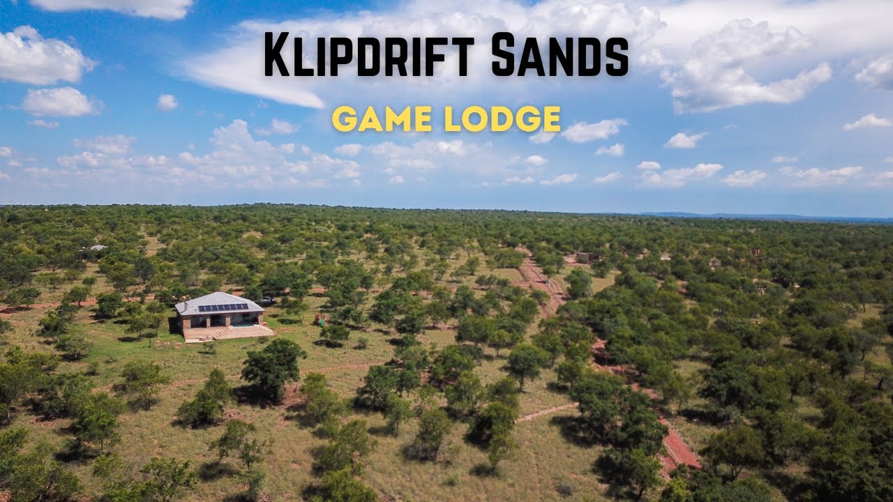 Это должно стать вашим следующим визитом в Динокенг! ll KLIPDRIFT SANDS GAME LODGE