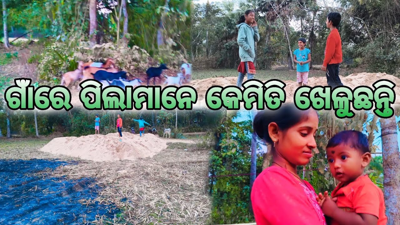 #odisha #viral #viralvideo #viral 