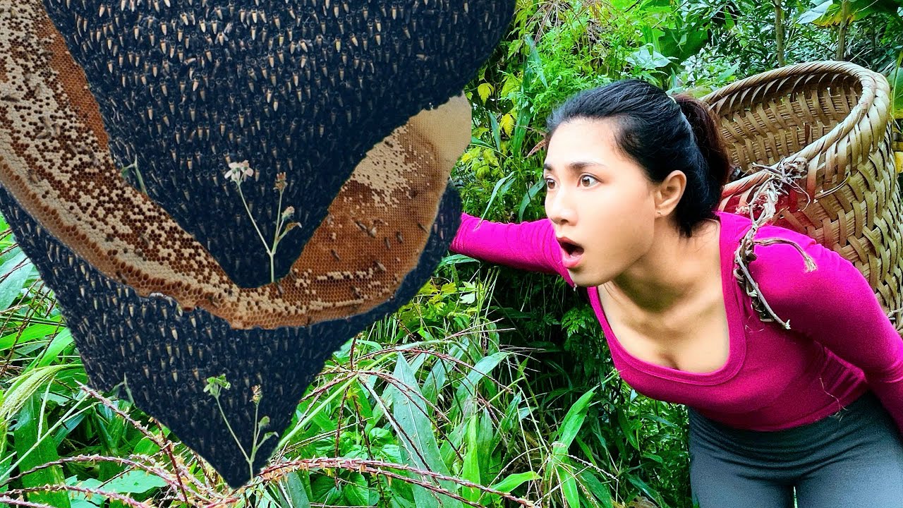 Single Mother Alone in the Forest Found a Giant Beehive