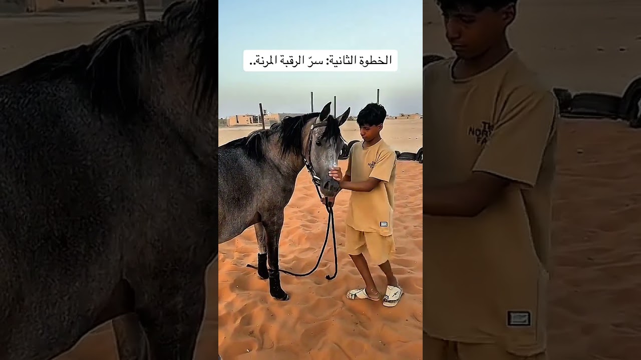 الخطوة الثانية تليين الرقبة