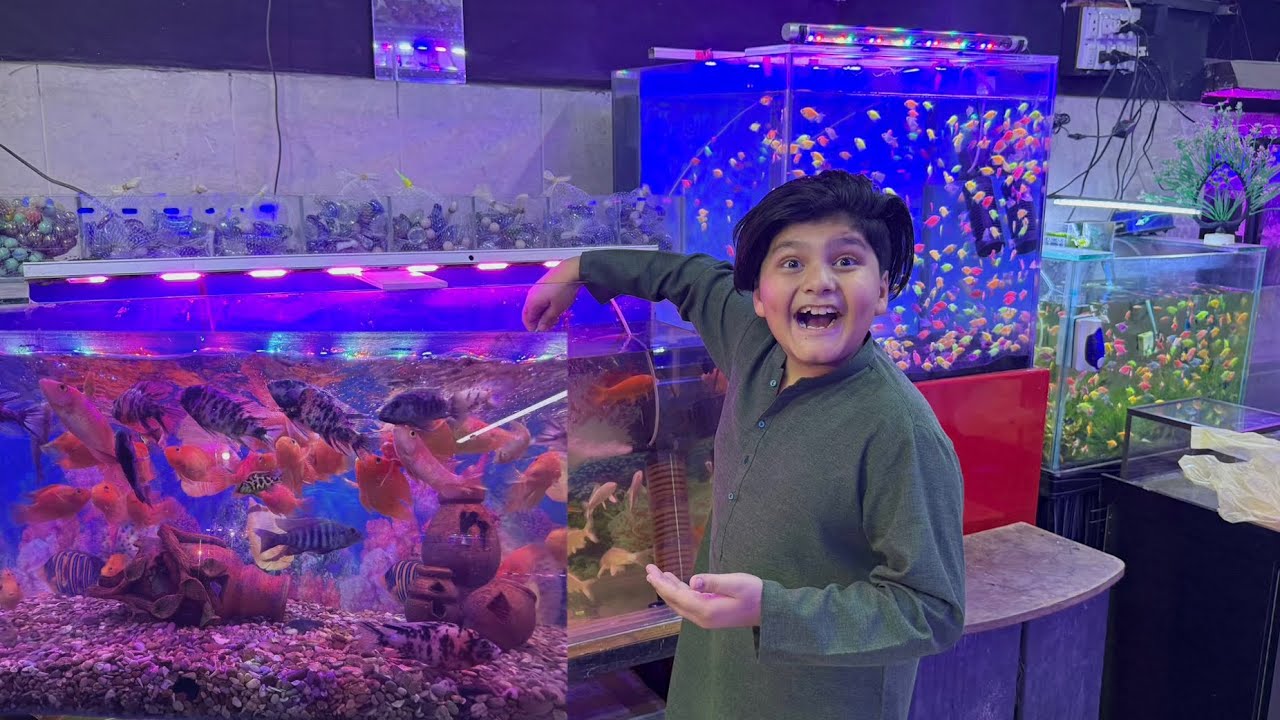 Ali ko Bht sari expensive Fish 🐠 dilwa Di 😱 ||