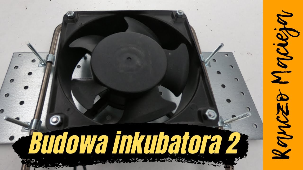 Jak zbudować inkubator cz.2 How to build an incubator 2? como construir una incubadora 2? #124