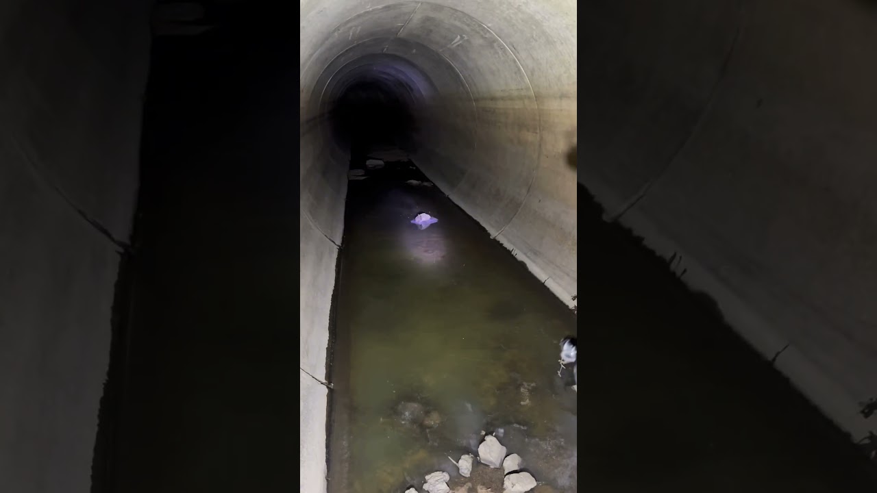 Exploring the Pipes Tunnel System in Mankato, MN! 😳 #shorts