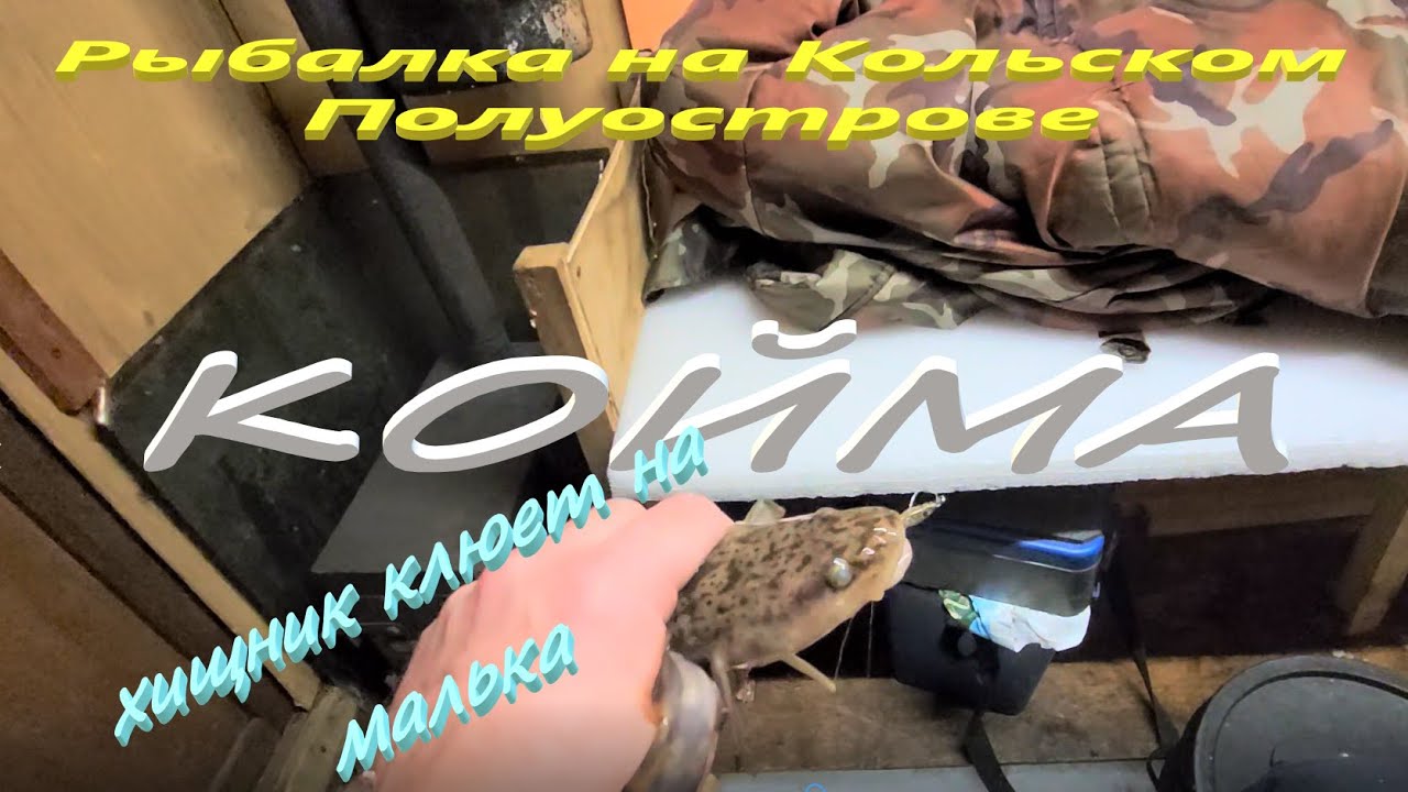 Рыбалка на Кольском Полуострове. Рыбалка  в Коймгубе . Рыбалка  на озере Имандра.