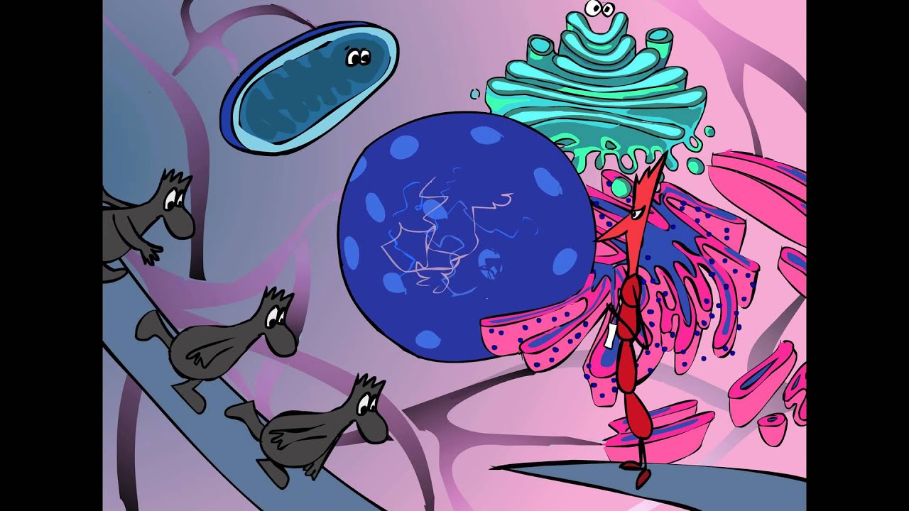 DNA Transcription: Lost in Translation, a Tiny Story of Gene Expression, Part 2