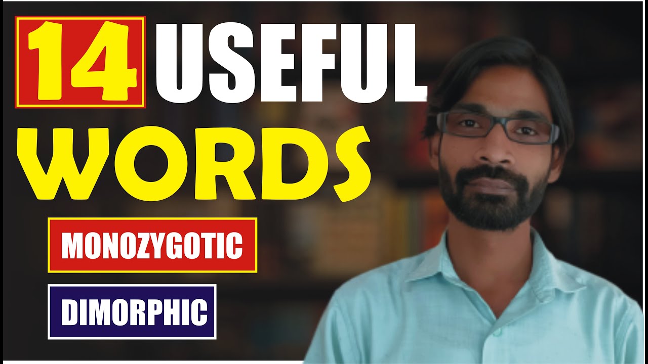 Useful Vocabulary | Uncommon Words | English Learning Videos | Z Mohammadi