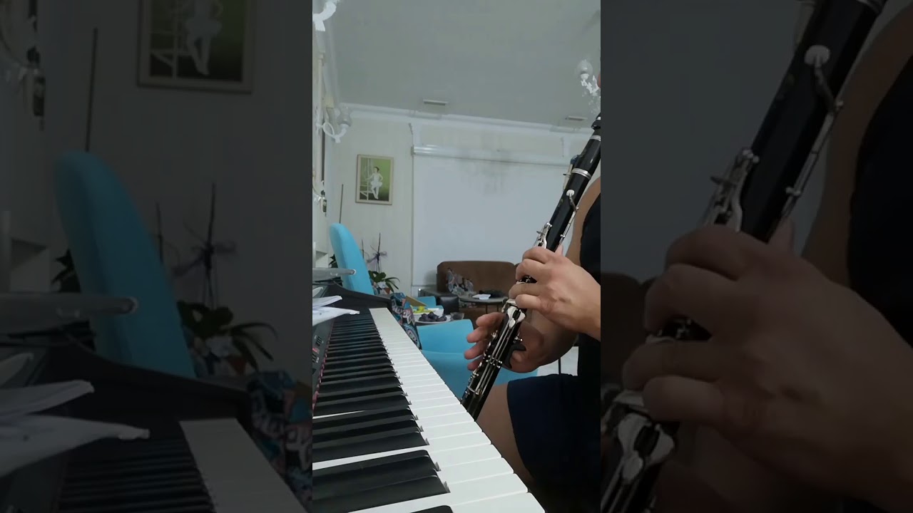 Kolay Olmayacak - Sezen Aksu (Piyano-Klarnet: Eser Ağar)