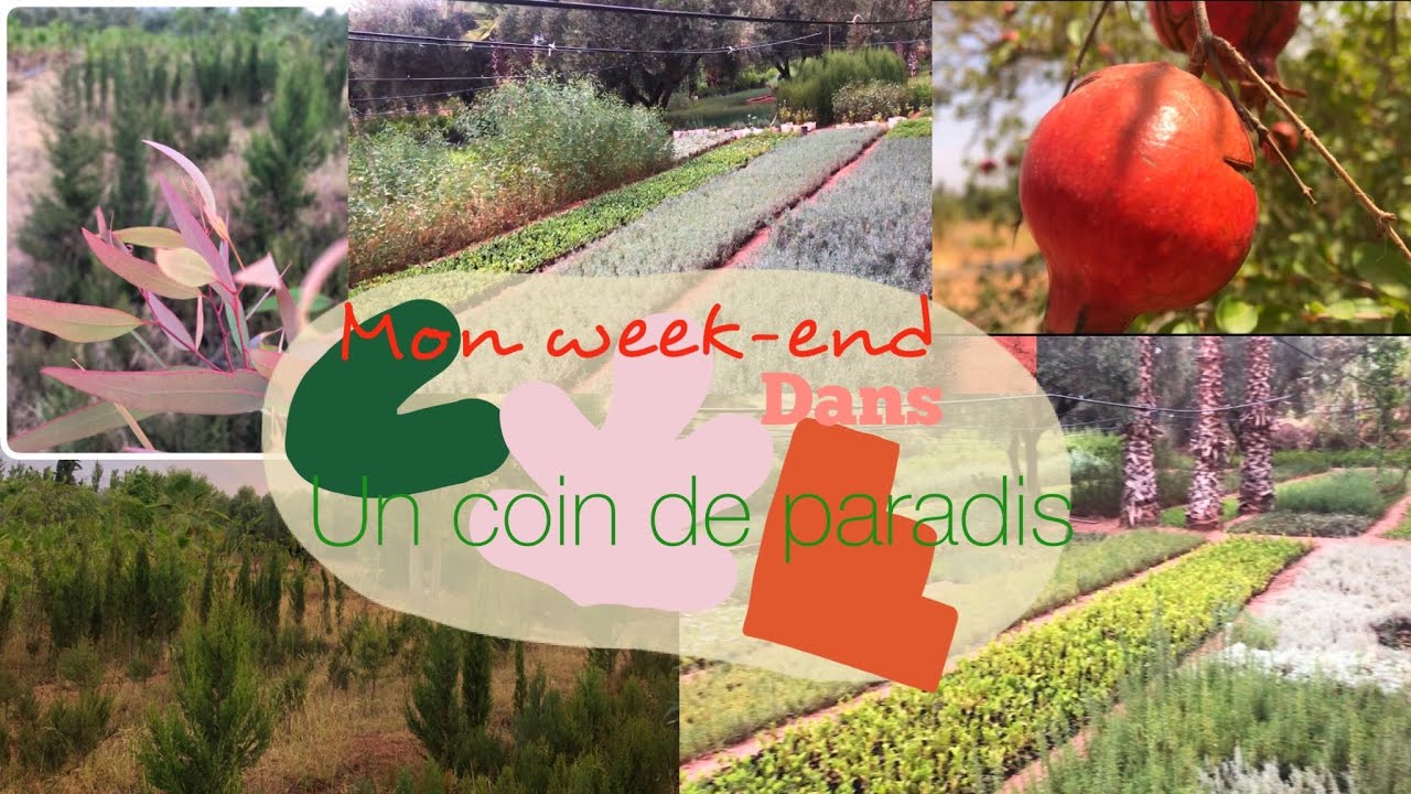 Un petit coin de paradis à côté de Marrakech /ويكند في الطبيعة قريب من مراكش